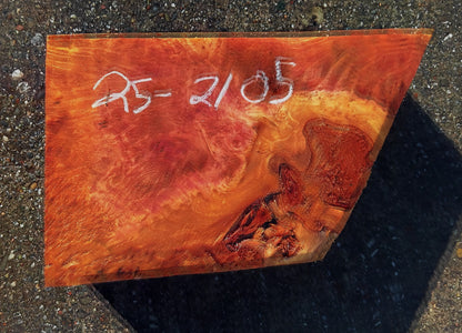 Redwood Lace Burl | Turning Block | Craft Wood | R25-2105