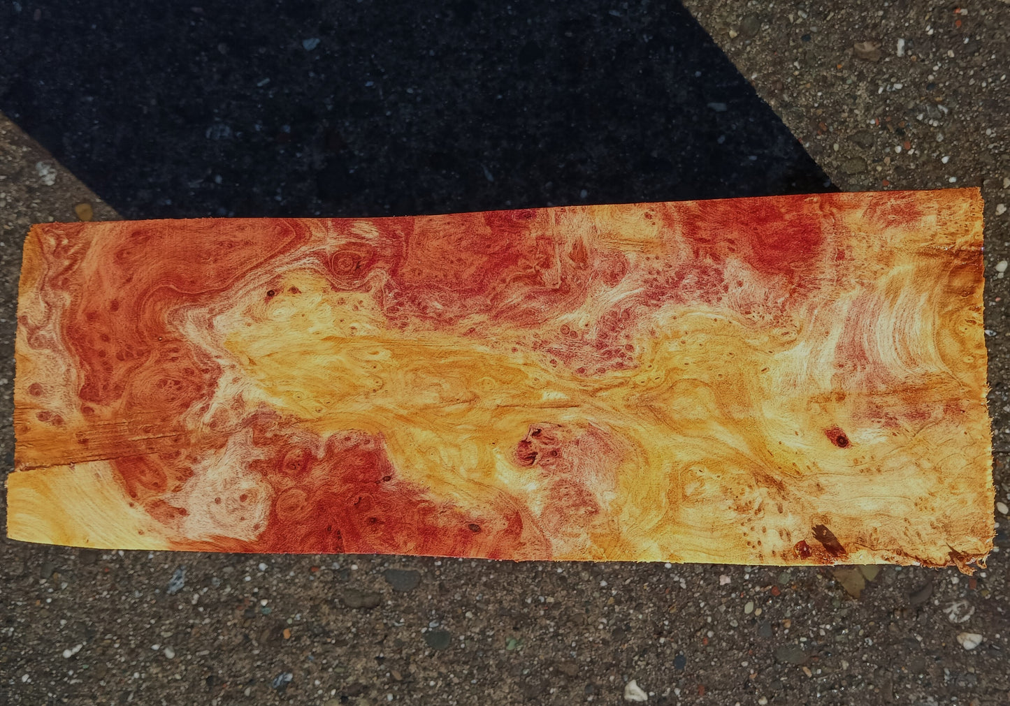 Redwood Lace Burl | Turning Block | Craft Wood | R25-2105