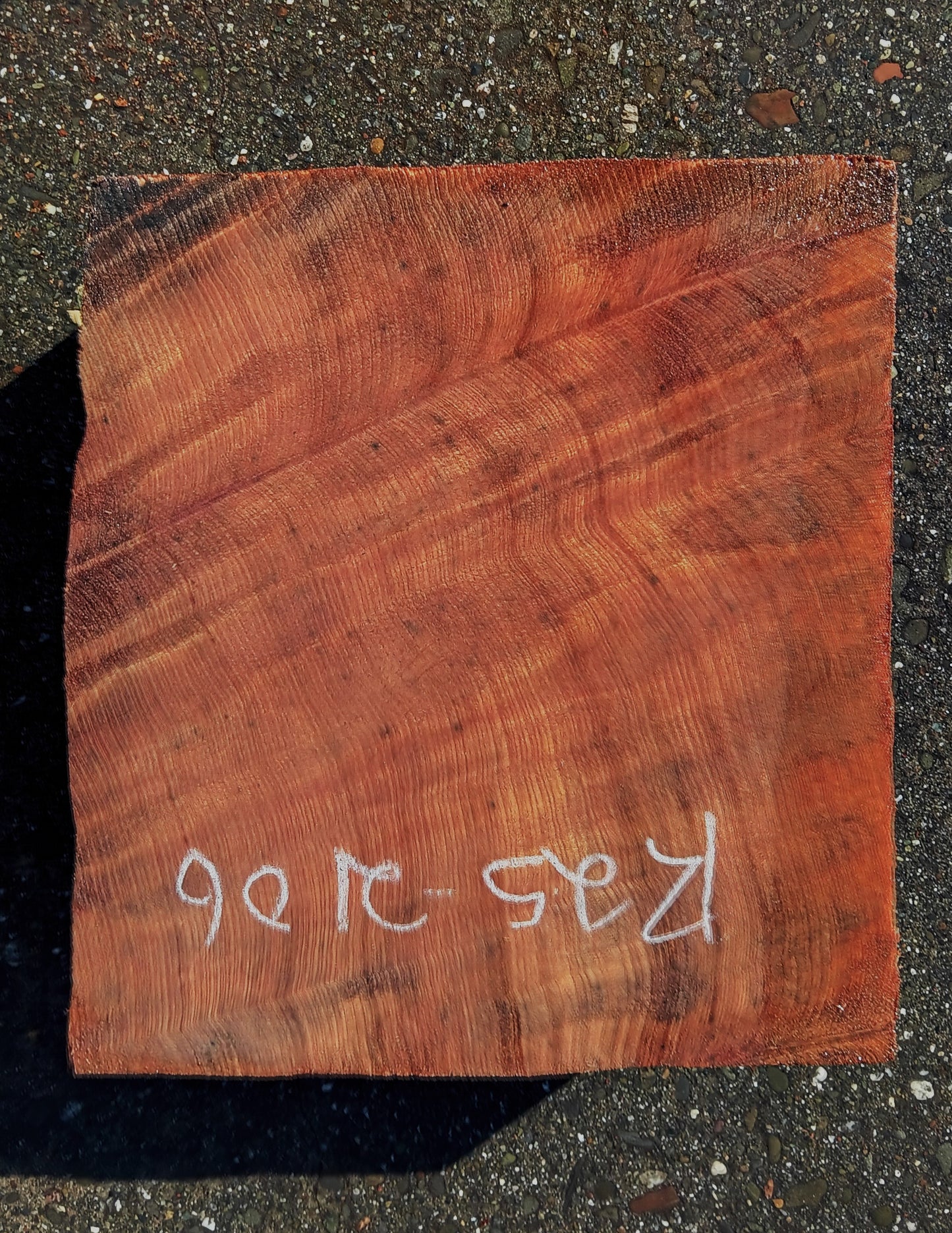 Curly Redwood | Turning Block | Craft Wood | R25-2106