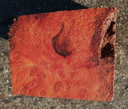 Redwood Lace Burl | Turning Block | BOWL TURNING \ Craft Wood | R25-2117