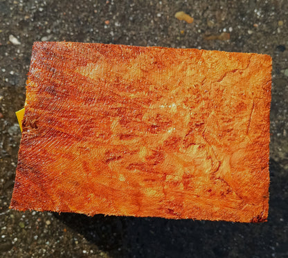 Redwood Lace Burl | Turning Blank | Craft Wood | R25-2120