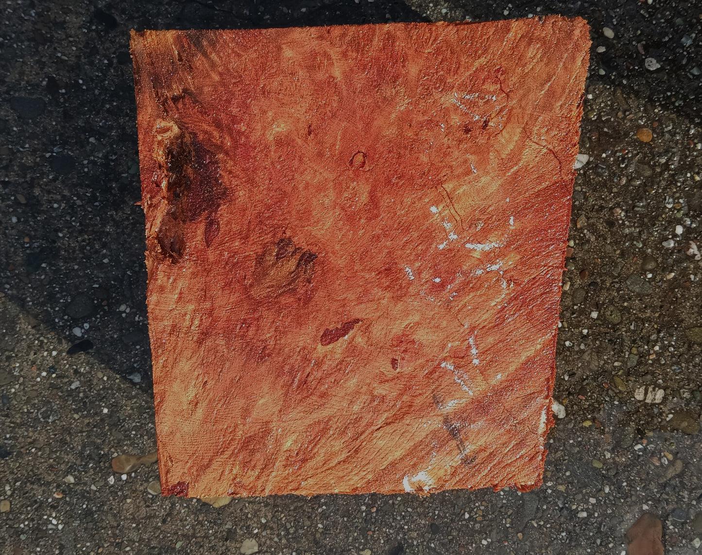 Redwood Lace Burl | Turning Blank | Craft Wood | R25-2120