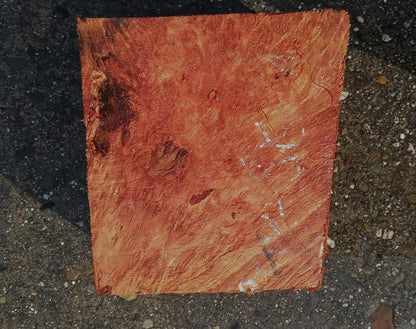 Redwood Lace Burl | Turning Blank | Craft Wood | R25-2120