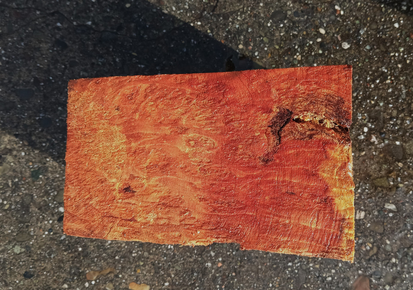 Redwood Lace Burl | Turning Blank | Craft Wood | R25-2120