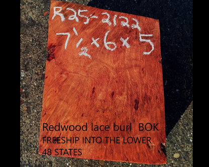 Redwood Lace Burl | Turning Block | Craft Wood | R25-2122