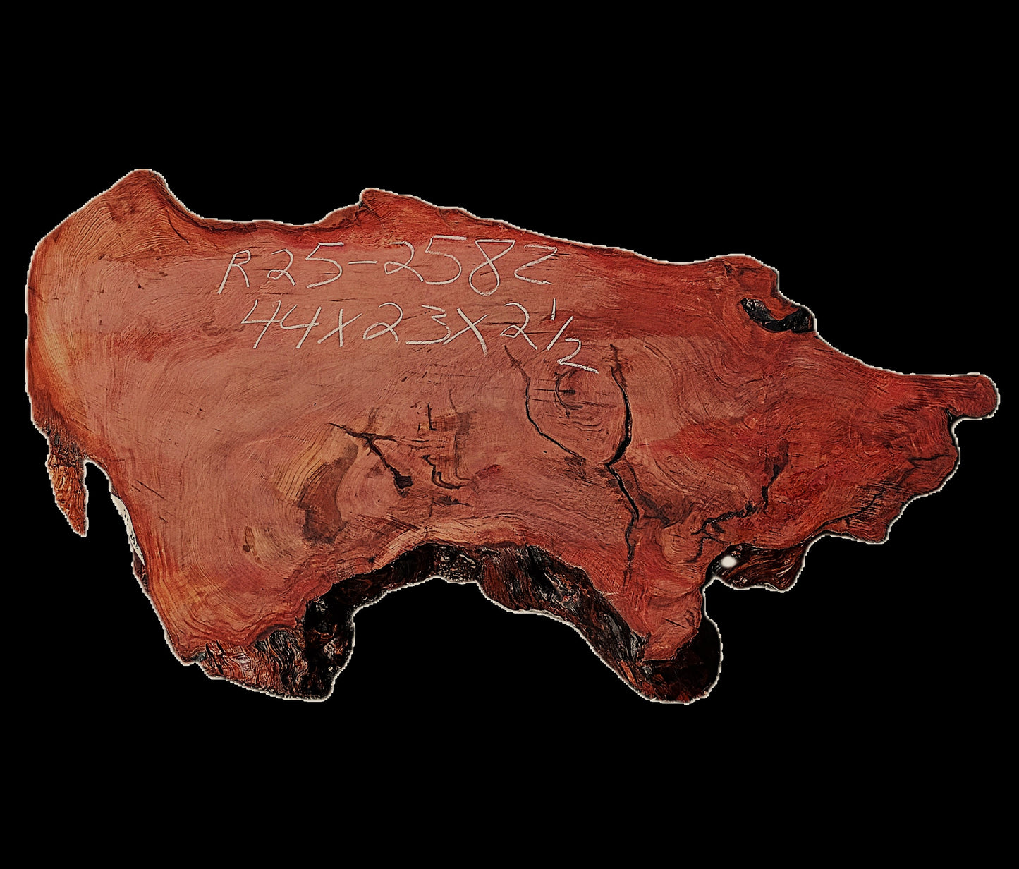 Redwood BURL Slab | DIY | BURL Table | Craft Wood | R25-2582