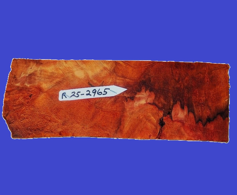 Redwood Burl | Turning Block | DIY | Craft Wood | RBL25-2965