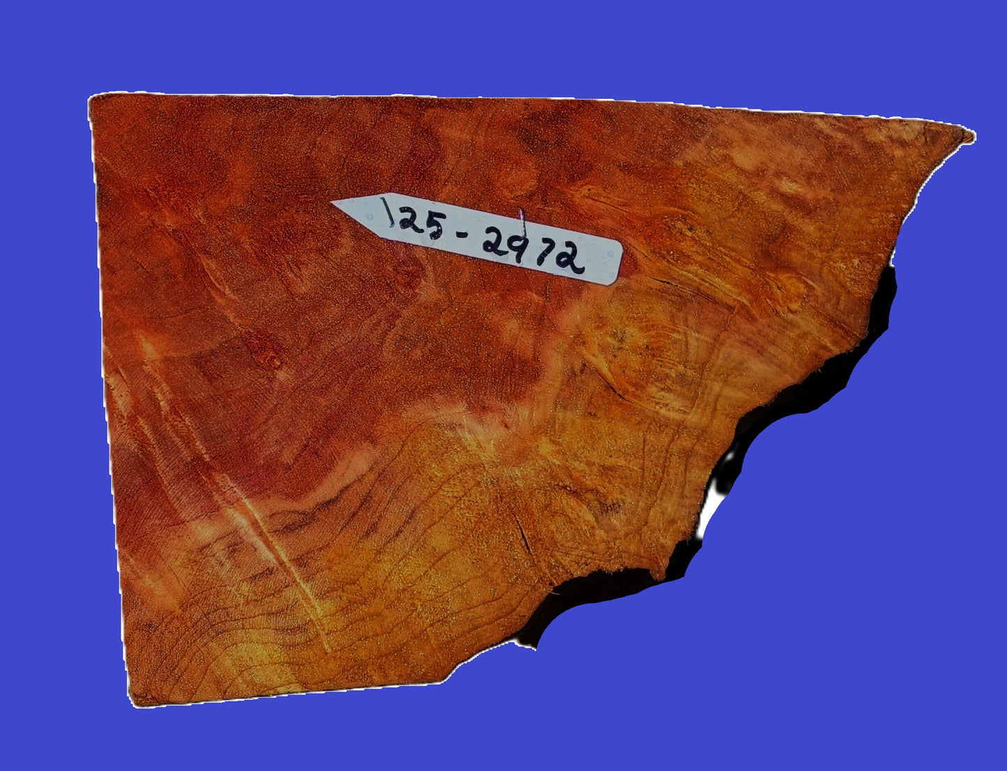 Redwood Burl Guitar Billet | DIY | Craft Wood | Block | RBL25-2972