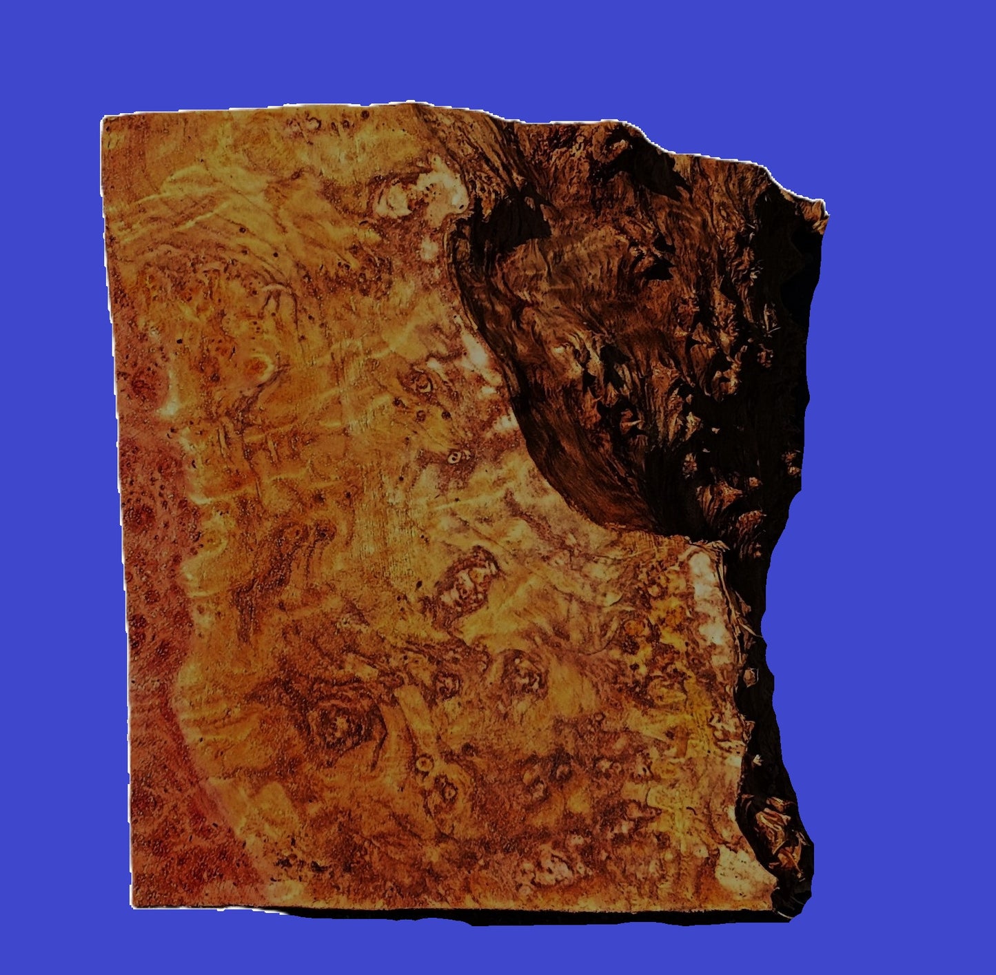 Redwood Burl Guitar Billet | DIY | Craft Wood | Block | RBL25-2972