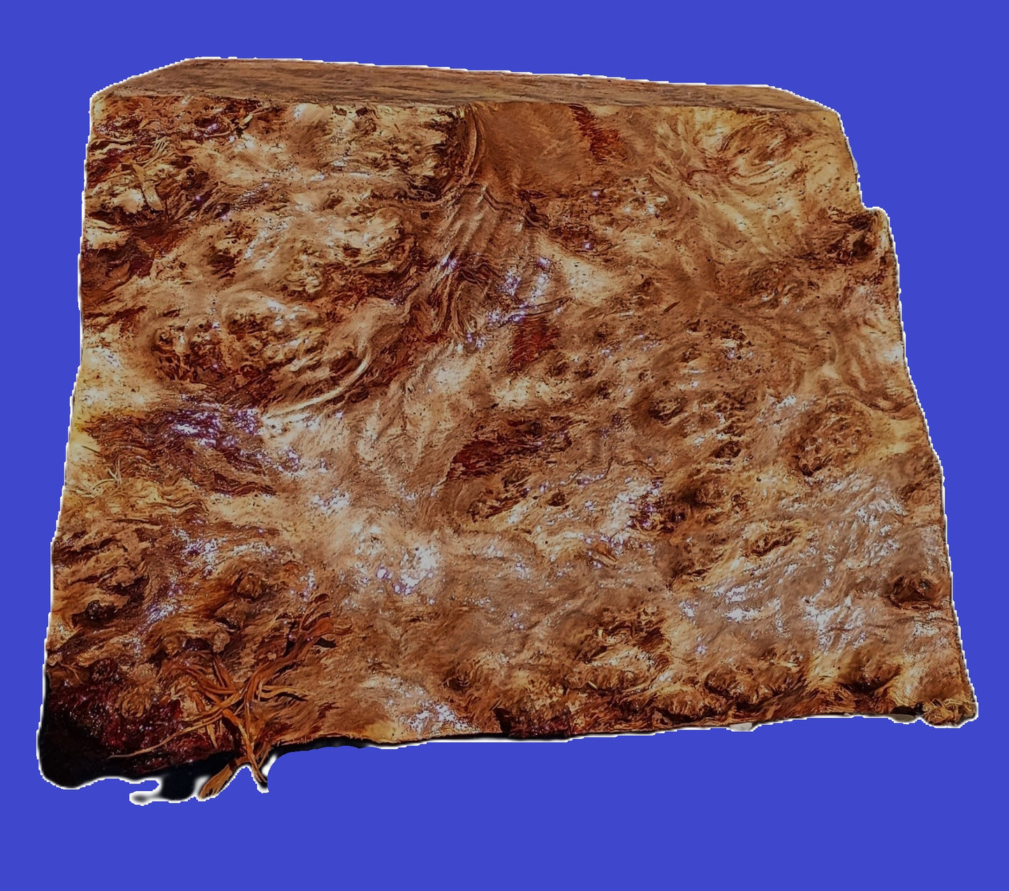 Redwood Burl Guitar Billet | DIY | Craft Wood | Block | RBL25-2972