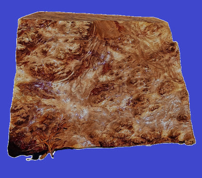 Redwood Burl Guitar Billet | DIY | Craft Wood | Block | RBL25-2972