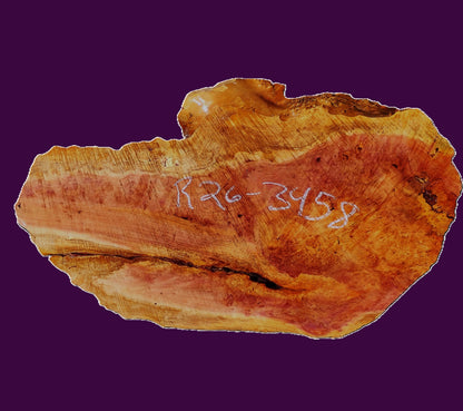 Redwood burl slab | DIY | burl table | river table | craft wood | R26-3458