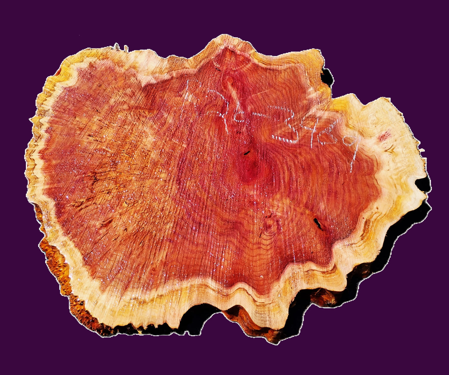 Redwood Cookie Cut slab | DIY | burl table | river table | craft wood | R26-3469