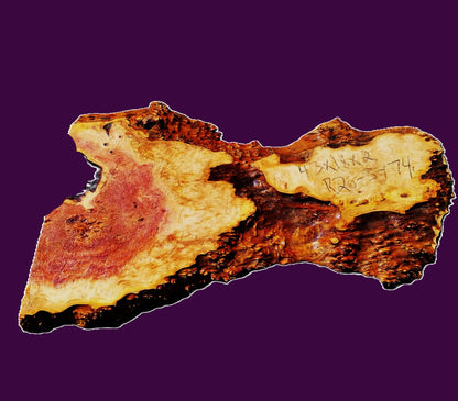 Redwood Burl Slab | DIY | Craft Wood | Table | Redwood | R26-3474