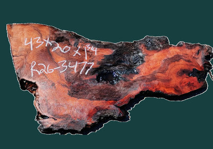 Redwood Burl Slab | DIY | Craft Wood | Table | Redwood | R26-3477