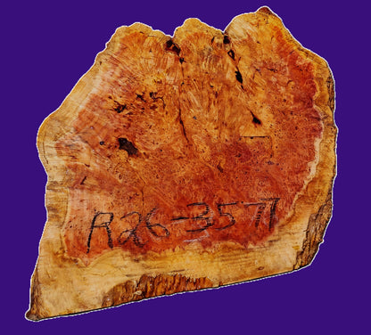 LACE BURL| Redwood Slab | DIY | Craft Wood | Table | R26-3577