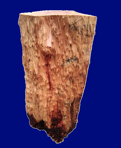 Redwood Lace Burl Cap | bowl turning | DIY | Craft Wood | live edge | rbl26-3791