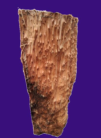 Redwood Lace Burl Cap | bowl turning | DIY | Craft Wood | live edge | rbl26-3791