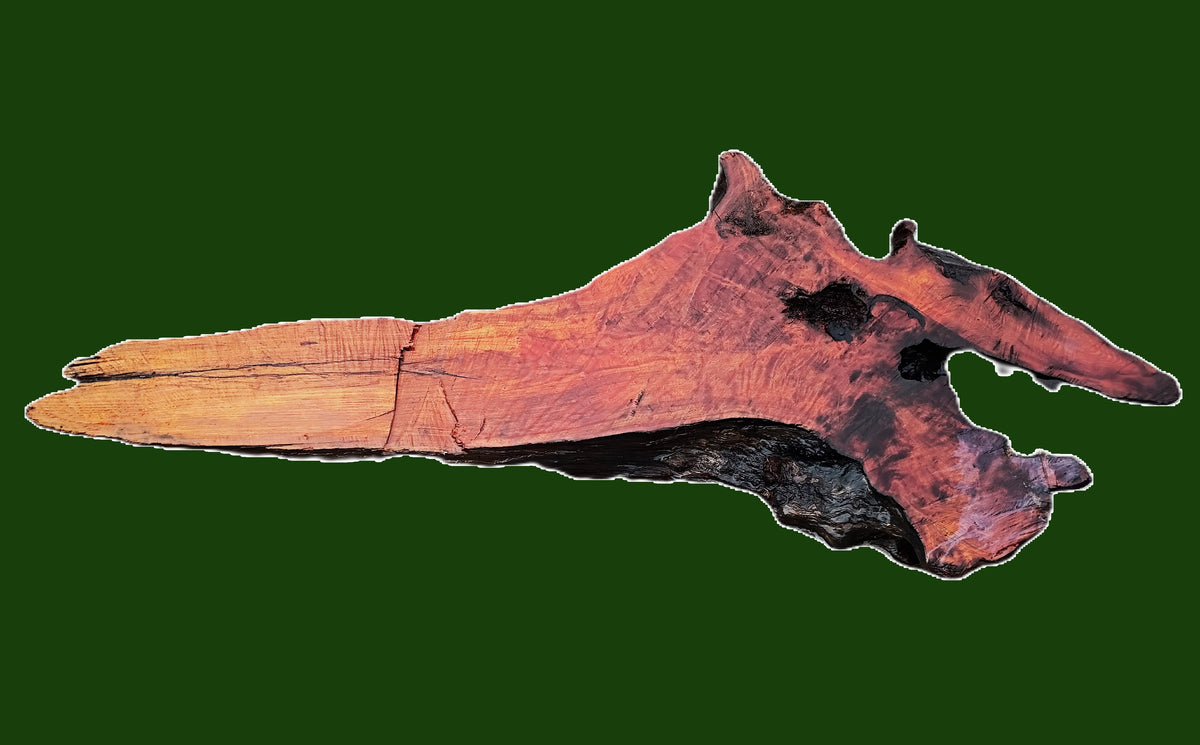 old growth | Redwood Burl Slab | DIY | river table or headboard | R26-3916