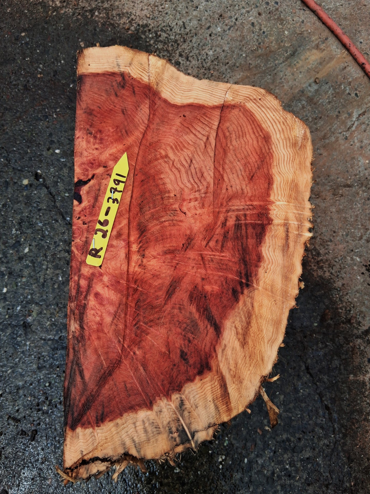 Redwood Lace Burl Cap | bowl turning | DIY | Craft Wood | live edge | rbl26-3791