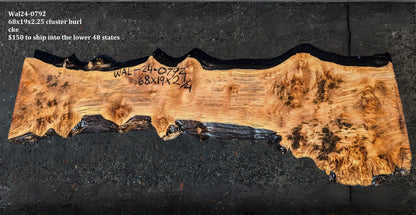 Walnut Cluster Burl log | Bar Top | Epoxy River Table | Wal24-0792