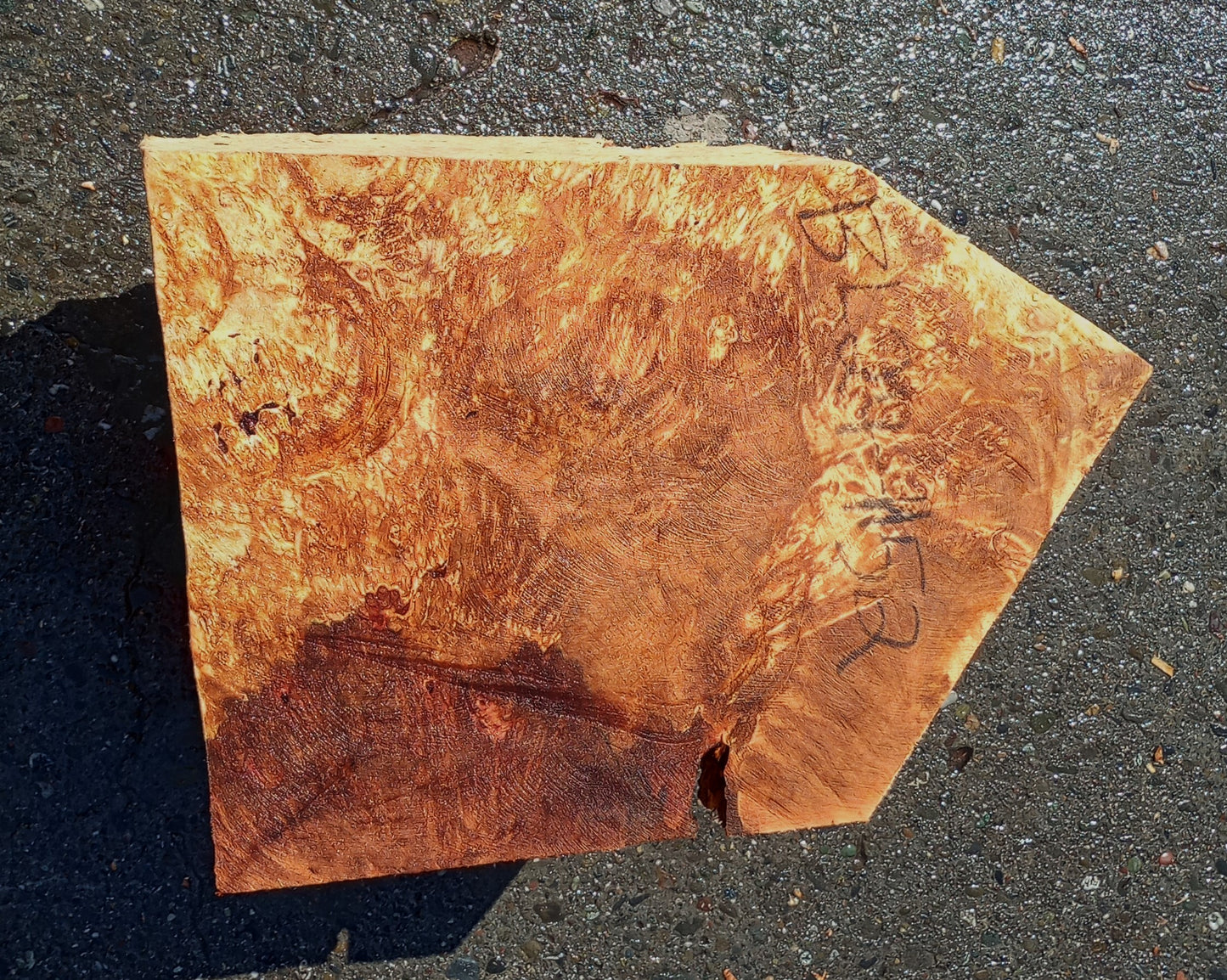 Maple Block | Craft wood | Maple Burl | DIY Craft Wood | Bl24-1152