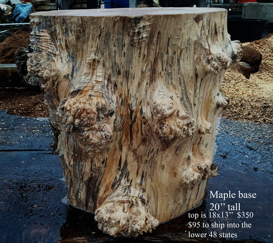 Maple Burl Base | Mount | Small Table Base | BA24-1980