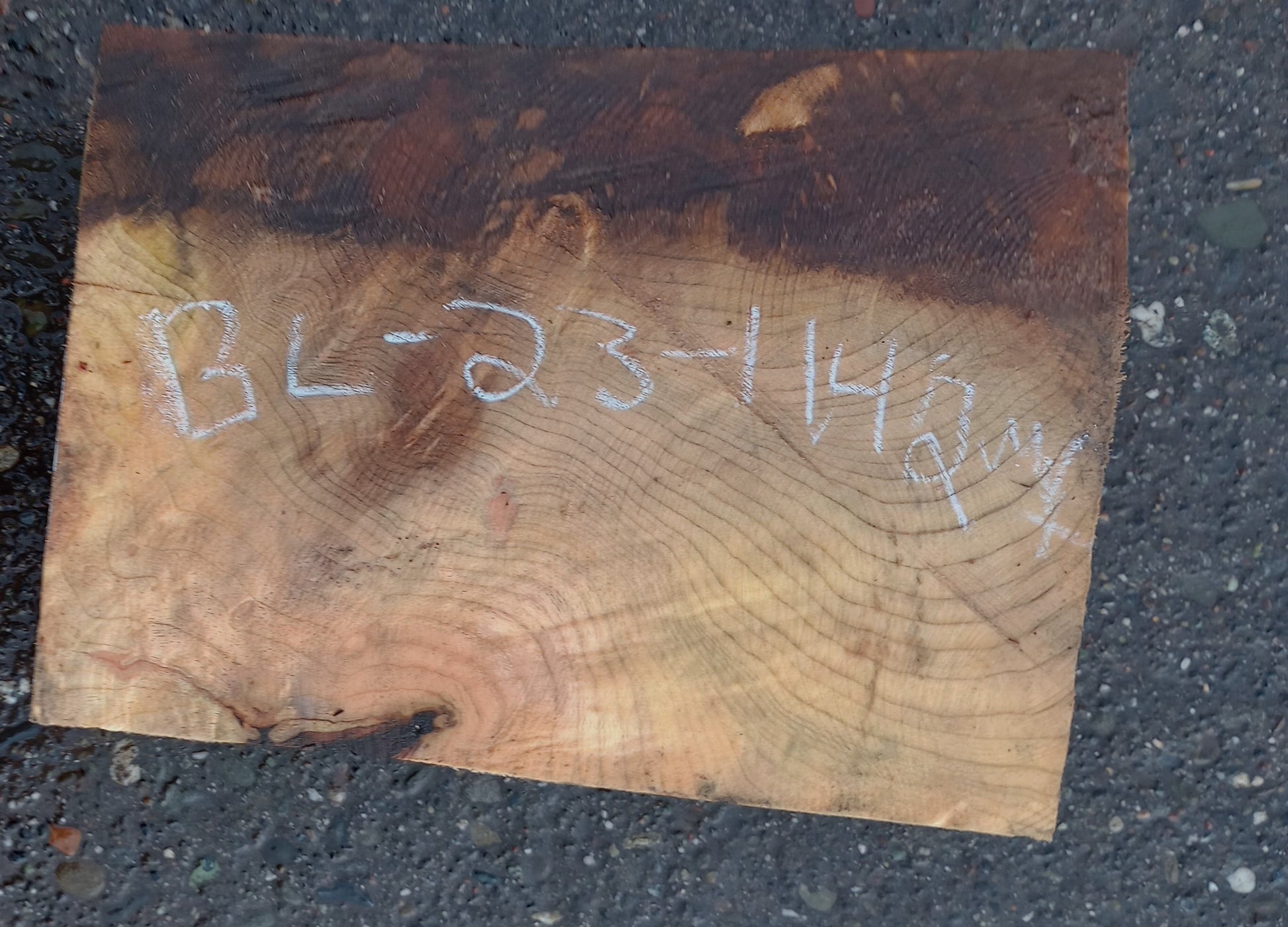 myrtle wood Turning block wood turning DIY wood bl231142 mrt