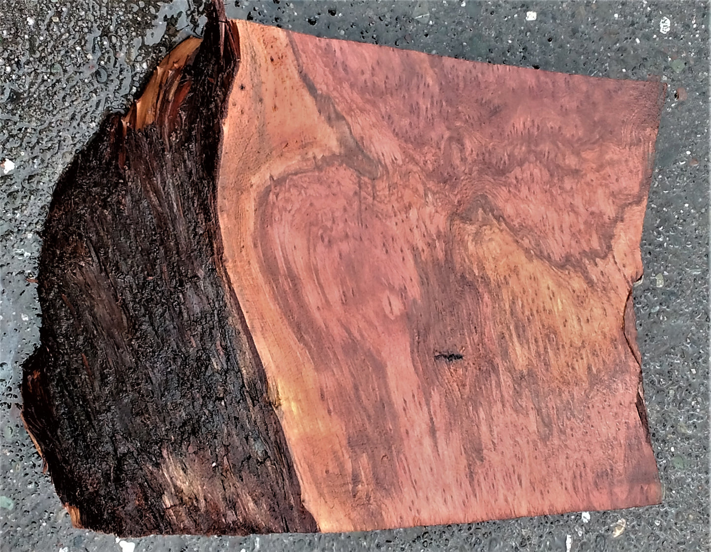 Redwood burl | bowl turning | wood turning | DIY wood crafts | bl23-0236