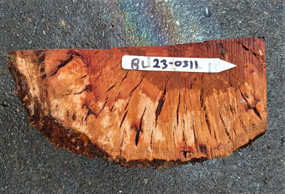 Madrone burl | bowl turning | wood turning | DIY wood crafts | bl23-0239-mrt