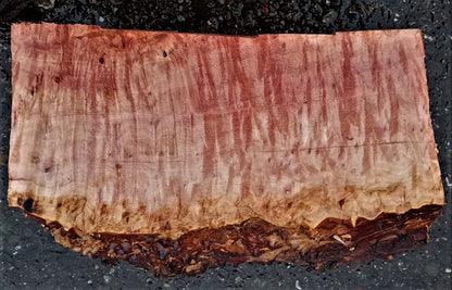 Madrone burl | bowl turning | wood turning | DIY wood crafts | bl23-0541