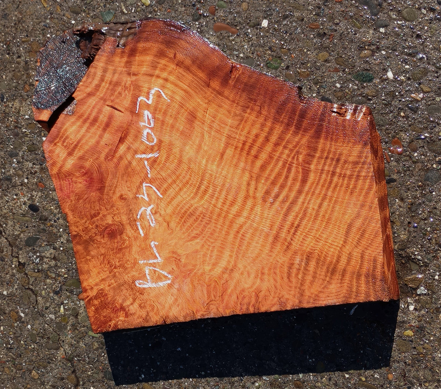 redwood burl block | bowl blank | DIY wood | wood turning | bl1003