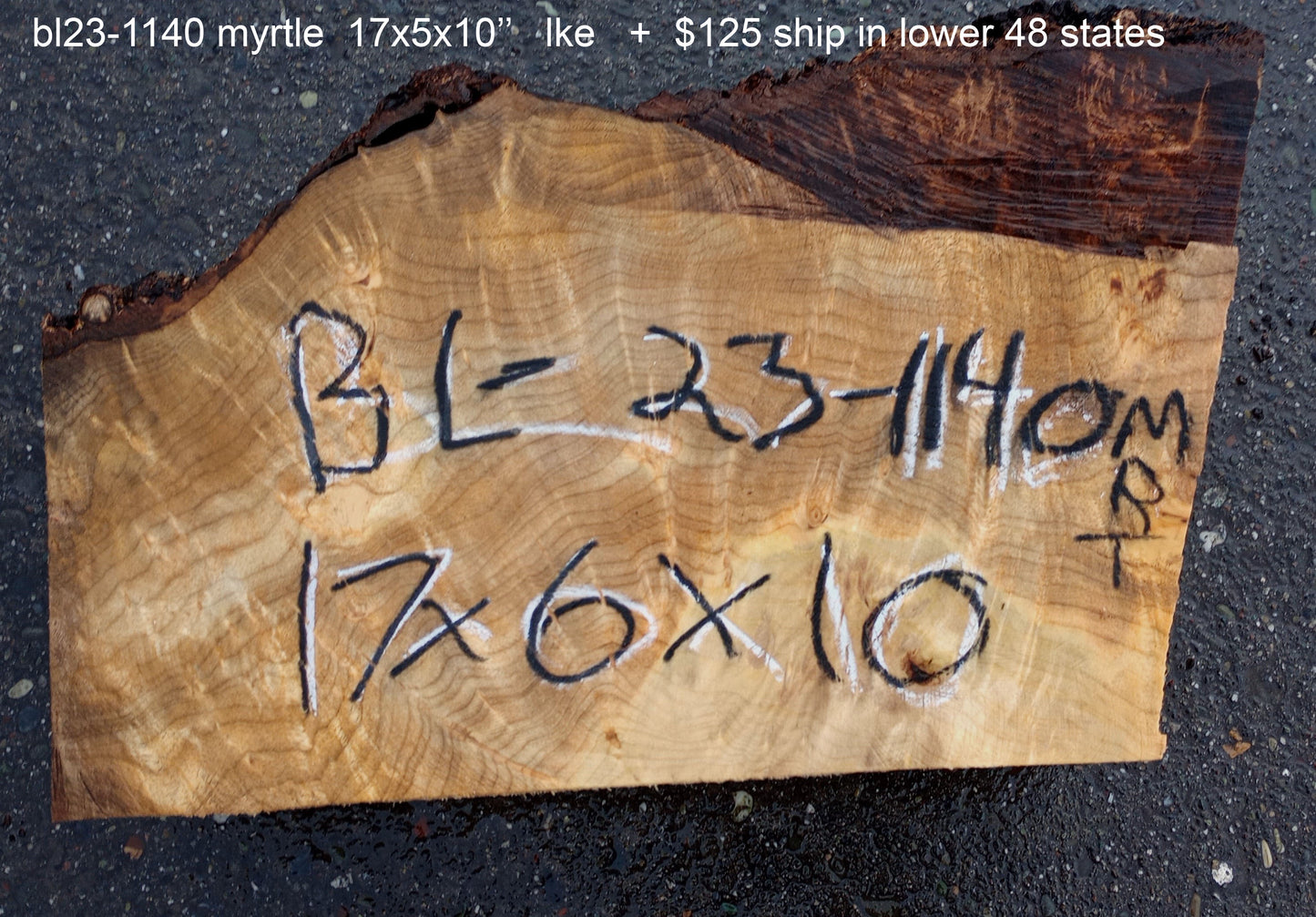 Myrtle burl | bowl blank | DIY | crafts | wood turning | blmrt23-1140