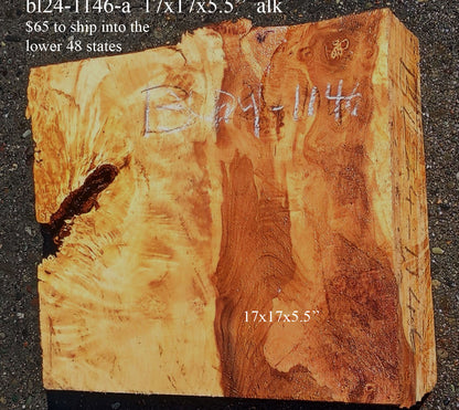 Maple Block | Craft wood | Maple Burl | DIY Craft Wood |  Bl24-1146