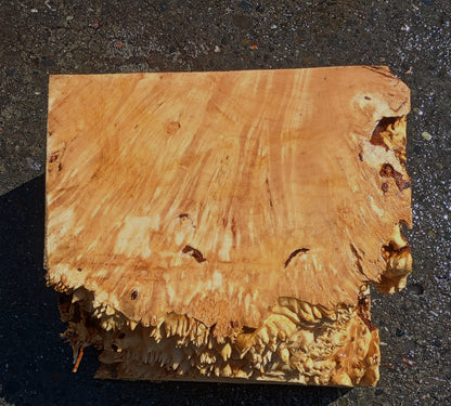 Maple Block | Craft wood | Maple Burl | DIY Craft Wood | Bl24-1147