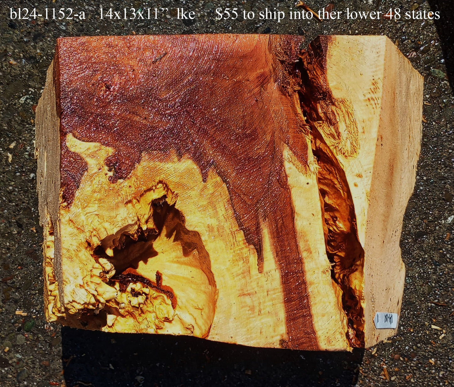 Maple Block | Craft wood | Maple Burl | DIY Craft Wood | Bl24-1152