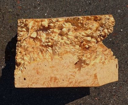 Maple Block | Craft wood | Maple Burl | DIY Craft Wood | Bl24-1152