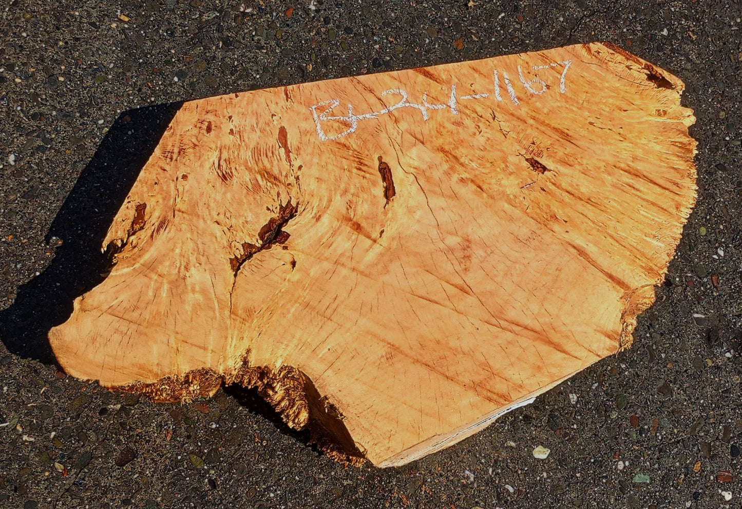 Maple Block | Craft wood | Maple Burl | DIY Craft Wood | Bl24-1167