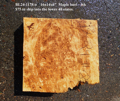 Maple Block | Craft wood | Maple Burl | DIY Craft Wood | Bl24-1178