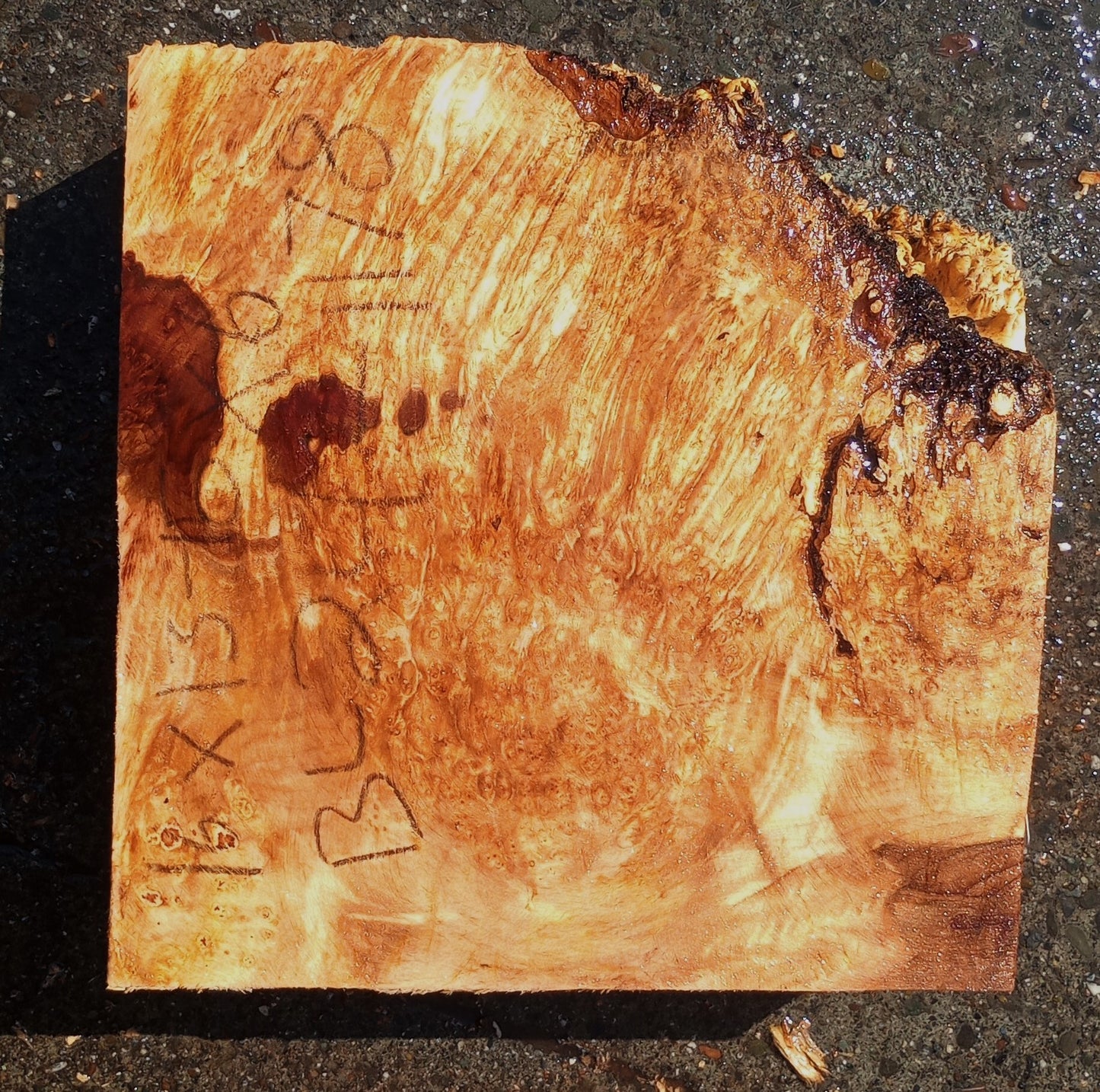 Maple Block | Craft wood | Maple Burl | DIY Craft Wood | Bl24-1178