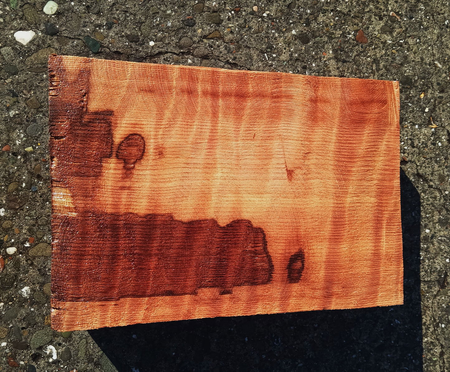 Curly Redwood | Turning block | Craft Wood | Bl24-1846