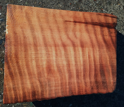 Curly Redwood | Turning block | Craft Wood | R24-1852