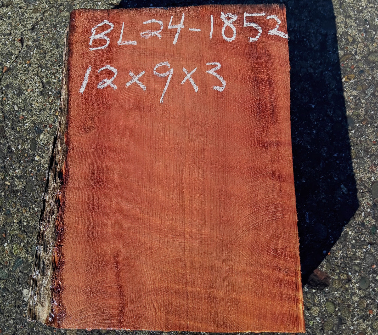 Curly Redwood | Turning block | Craft Wood | R24-1852