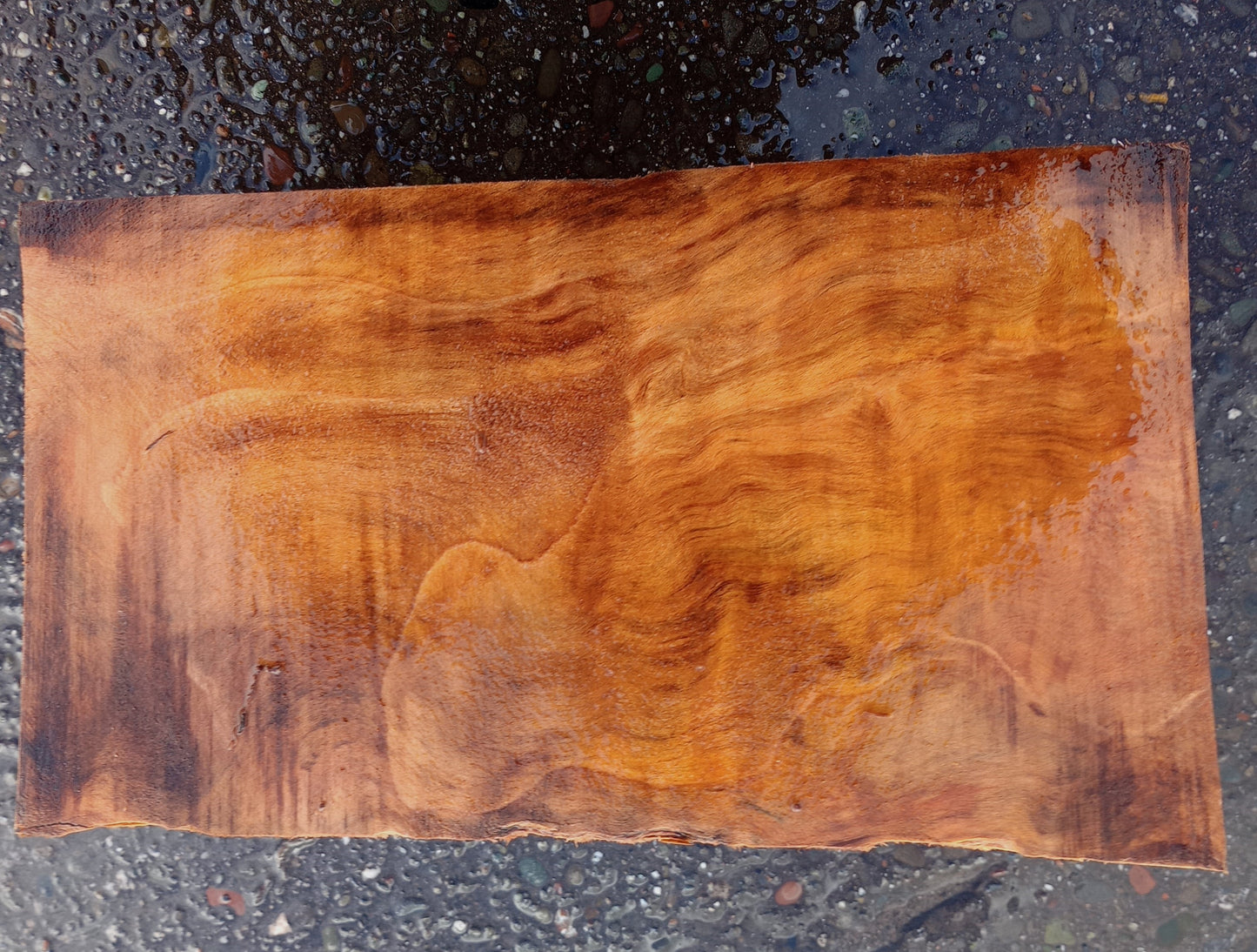 Maple burl | bowl blank | DIY | craft woods | wood turning | blma23-1134