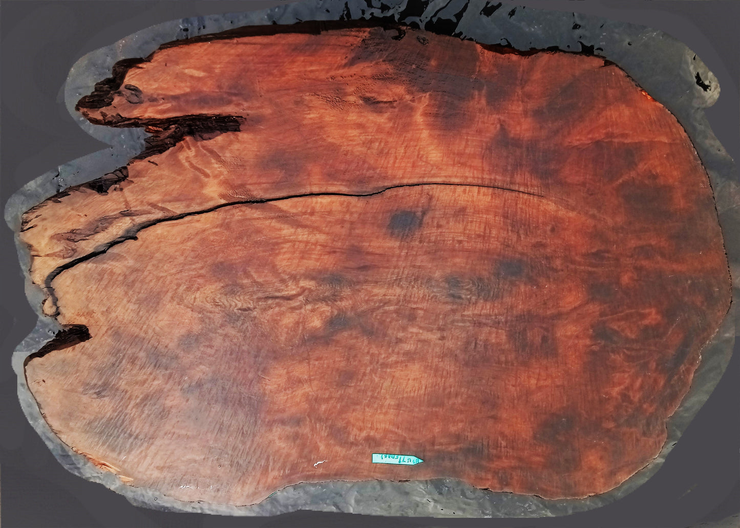 Redwood burl slab | DIY | burl table | burl slab | headboard | bs479