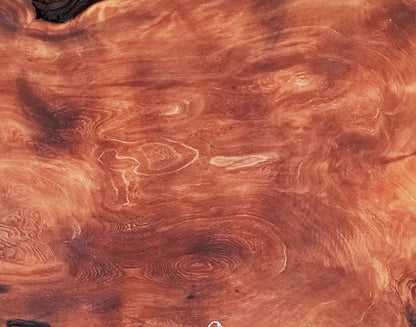 Redwood burl slab | DIY | burl table | burl slab | headboard | bs479