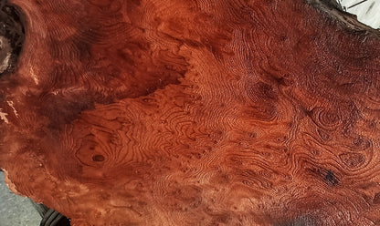 Redwood burl slab | DIY | burl table | burl slab | headboard | bs681