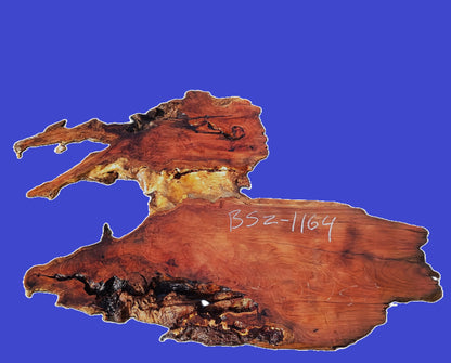 Redwood Burl| DIY | Craft Wood | River Table | BSZ-1164
