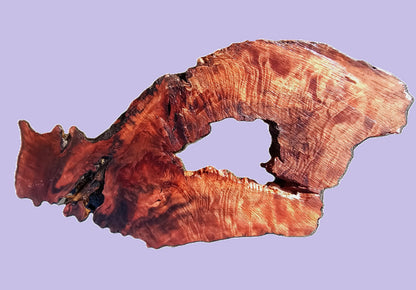 Redwood curly slab | DIY | burl table | river table | headboard | bsz1303