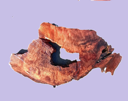 Redwood curly slab | DIY | burl table | river table | headboard | bsz1303